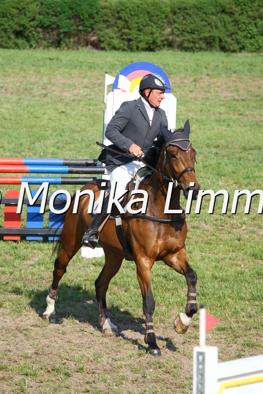 105M3239_Stardust Harry_Spring_A.JPG